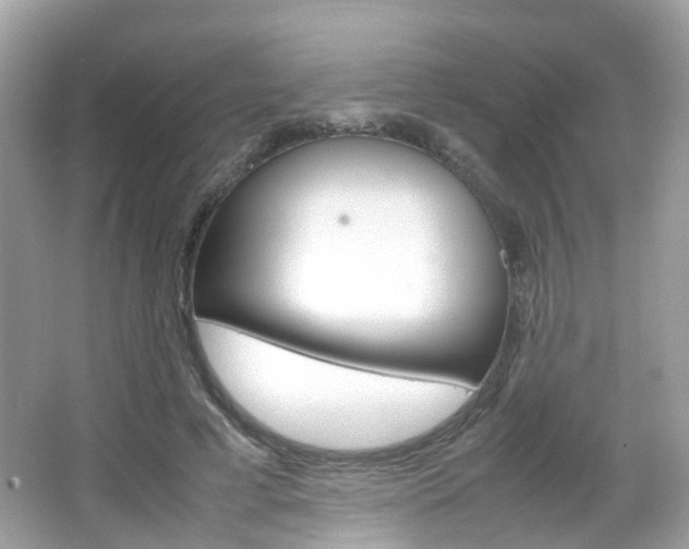 X0000066080593200603100939