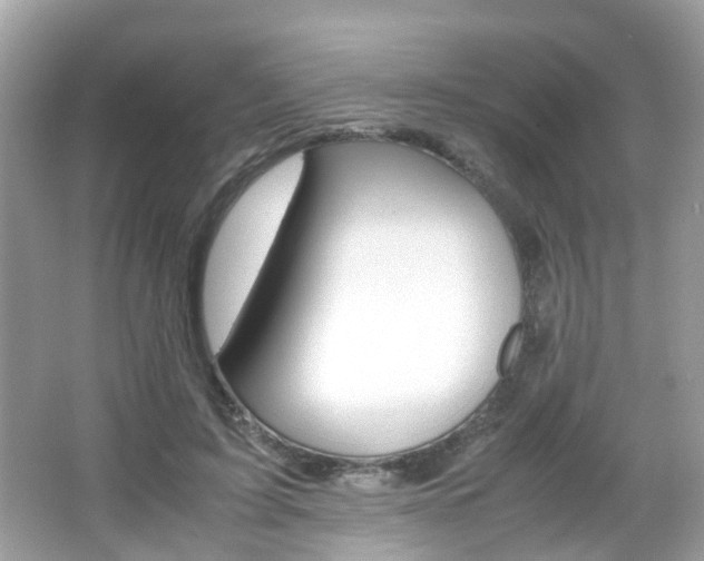 X0000066080595200603100939