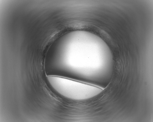 X0000066080596200603100939