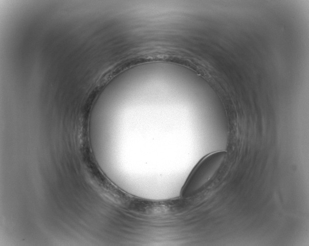 X0000066080600200603100939