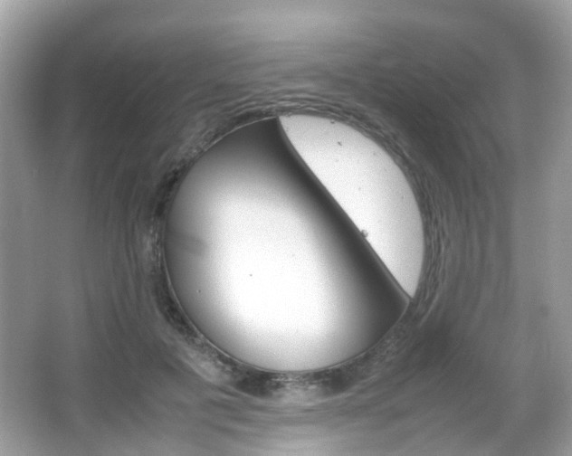 X0000066080601200603100939