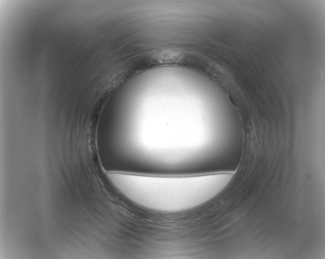 X0000066080604200603100939