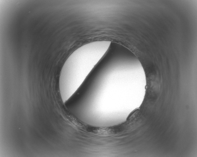 X0000066080615200603100939