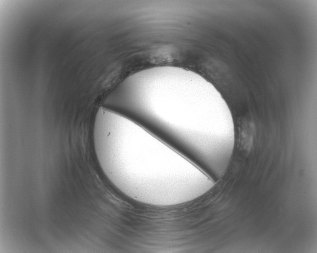 X0000066080616200603100939