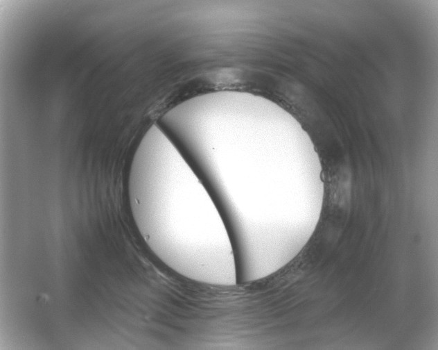 X0000066080618200603100939