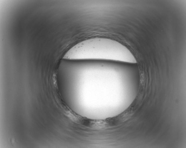 X0000066080621200603100939