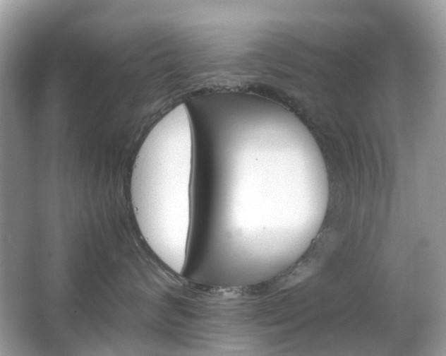 X0000066080624200603100939