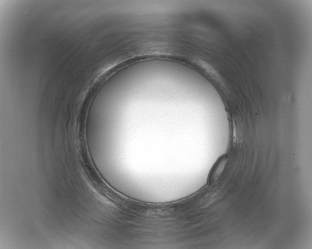 X0000066080627200603100938