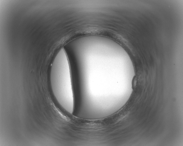 X0000066080633200603100938