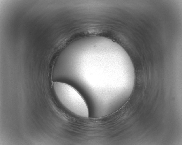 X0000066080639200603100938