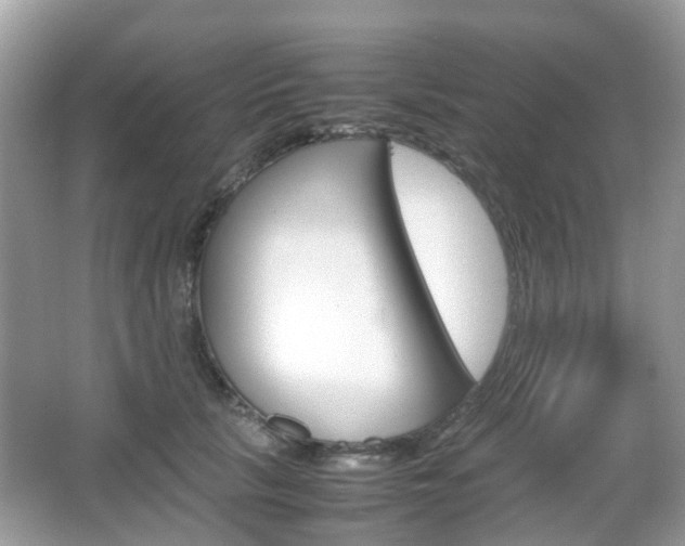 X0000066080657200603100938