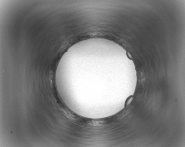 X0000066080664200603100939