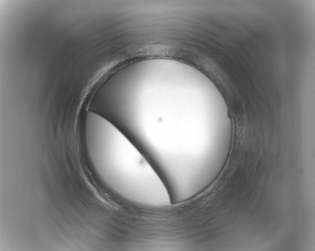 X0000066080674200603100938