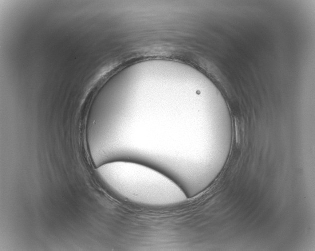 X0000066080675200603100938