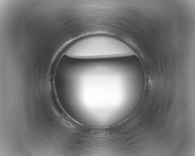 X0000066080676200603100938