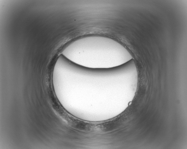 X0000066080683200603100938