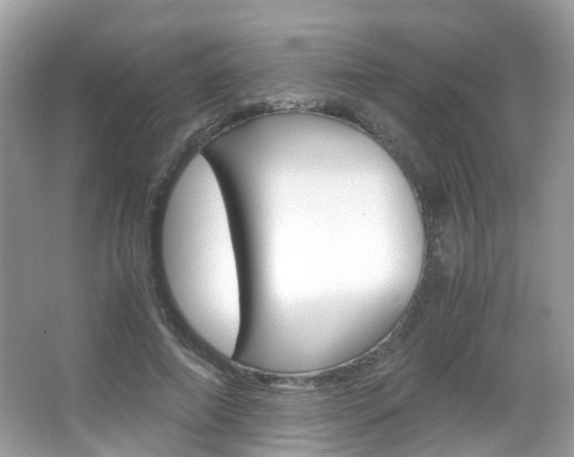 X0000066080690200603100938