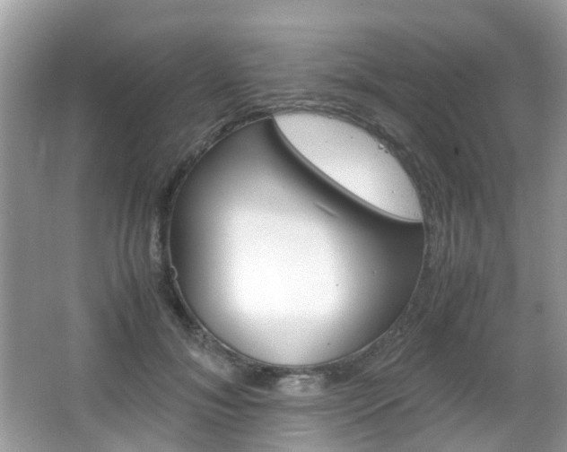 X0000066080700200603100937