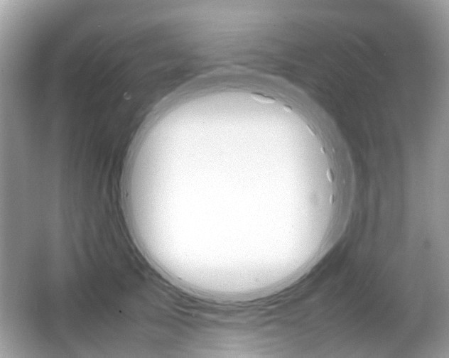 X0000066080705200603100937