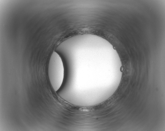 X0000066080706200603100937