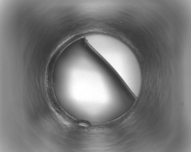 X0000066080722200603100936