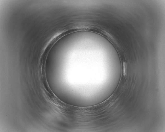 X0000066080723200603100936