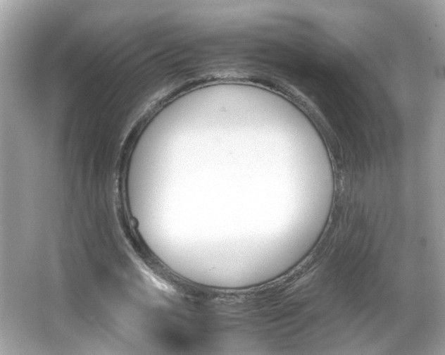 X0000066080725200603100936