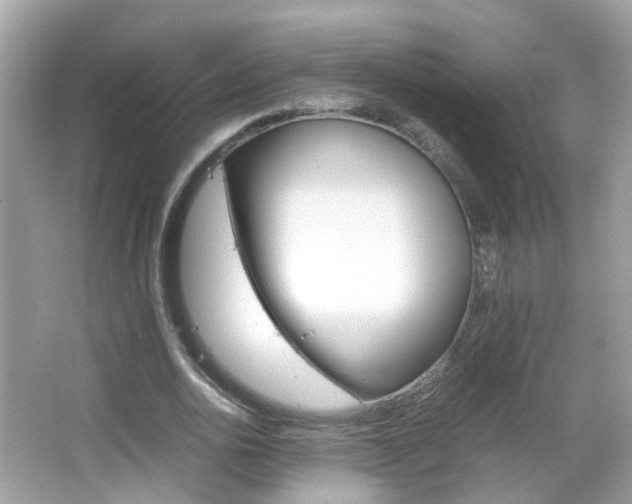 X0000066080726200603100936