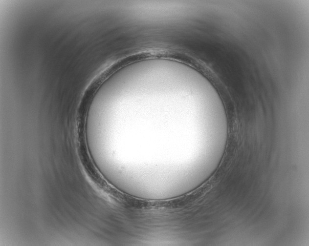 X0000066080730200603100936