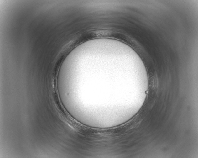 X0000066080733200603100936