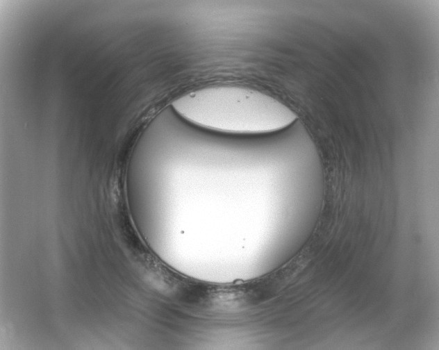 X0000066080746200603100937