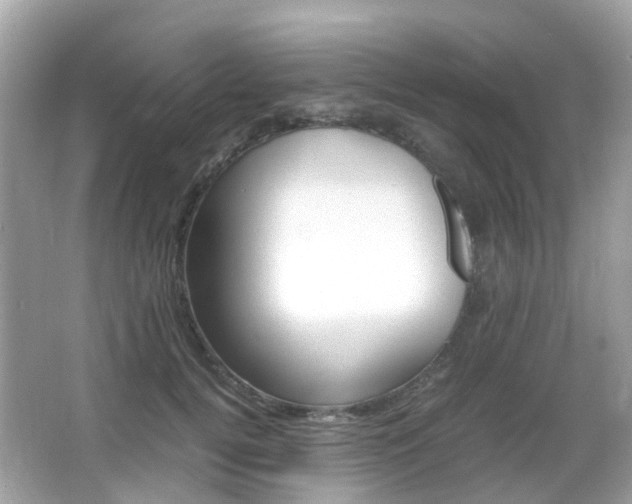 X0000066080752200603100937