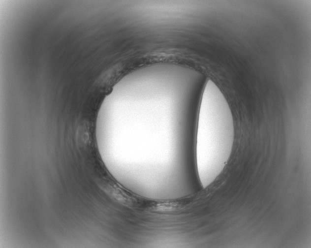 X0000066080758200603100937