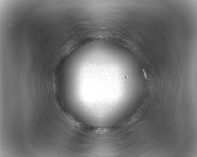 X0000066080762200603100937