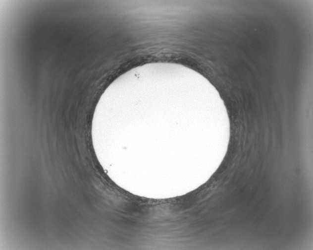 X0000066080769200603100936