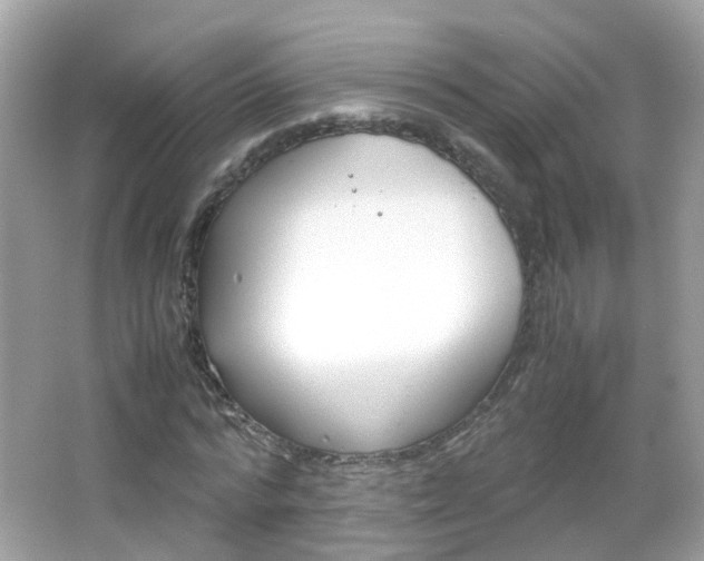 X0000066080776200603100936