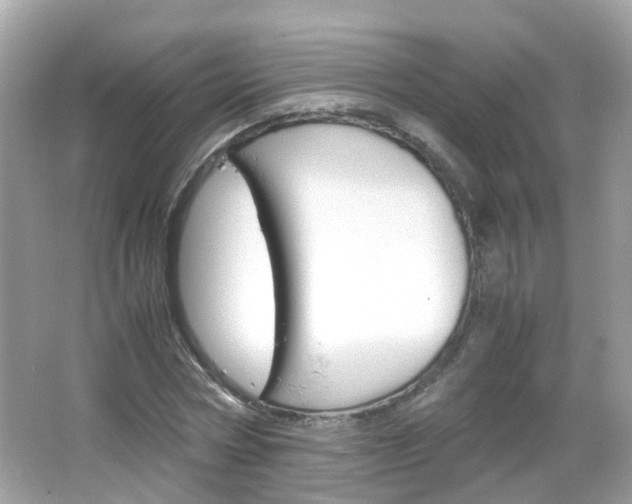 X0000066080778200603100936