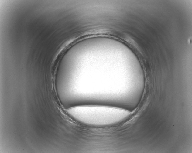 X0000066080781200603100936