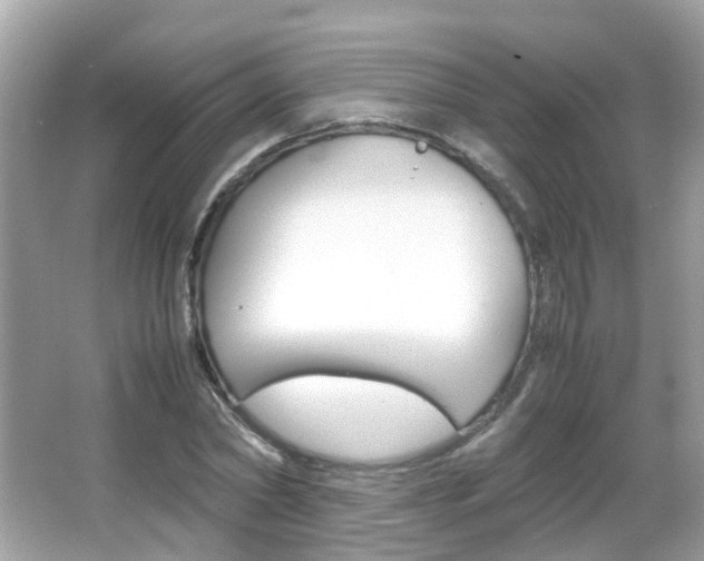 X0000066080782200603100936