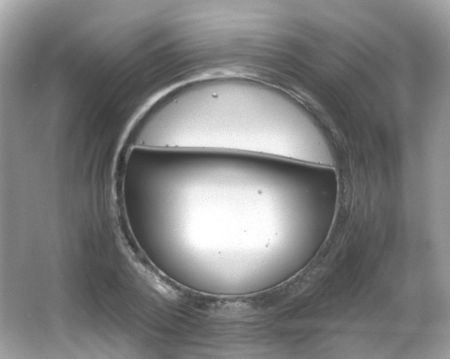 X0000066080784200603100936