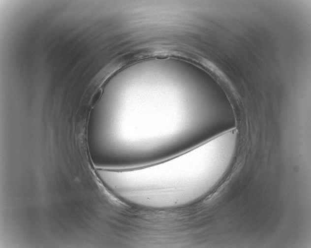 X0000066080801200603100936