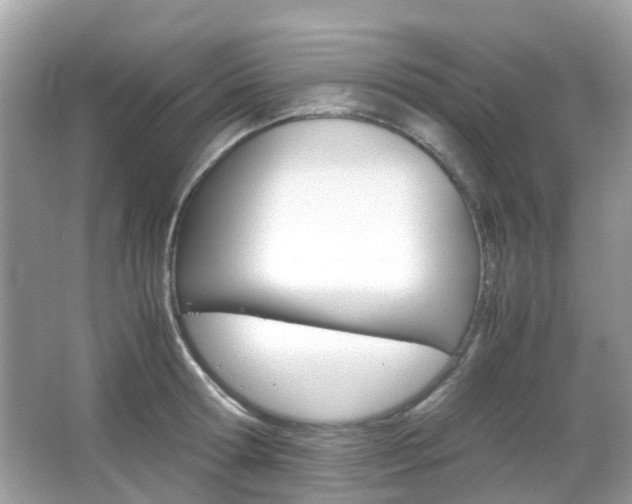 X0000066080802200603100936