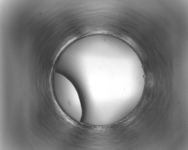 X0000066080806200603100936