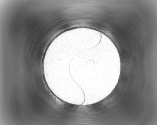 X0000066080807200603100936