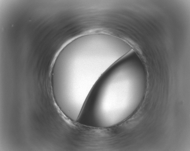 X0000066080816200603100935