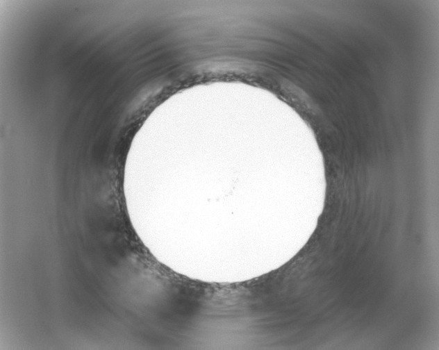 X0000066080824200603100935