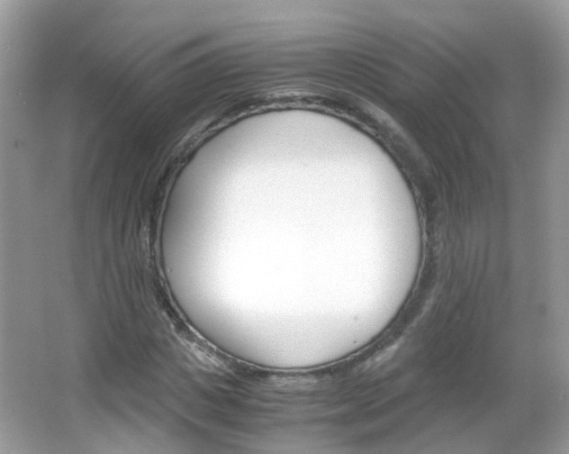 X0000066080825200603100935