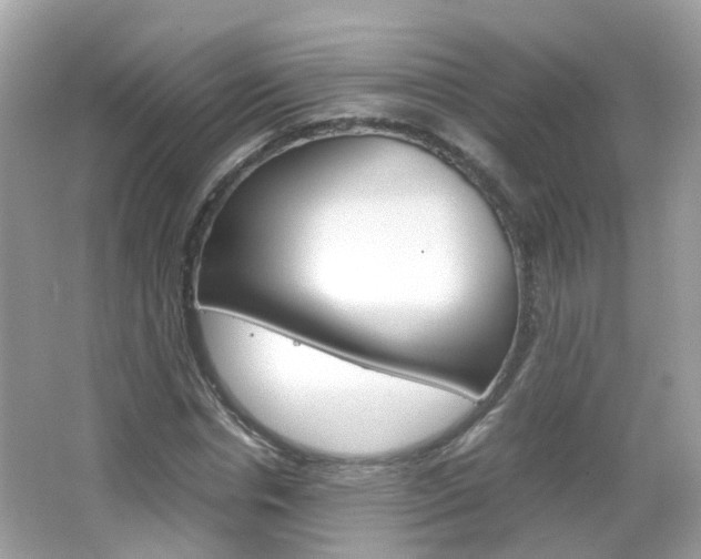 X0000066080826200603100935
