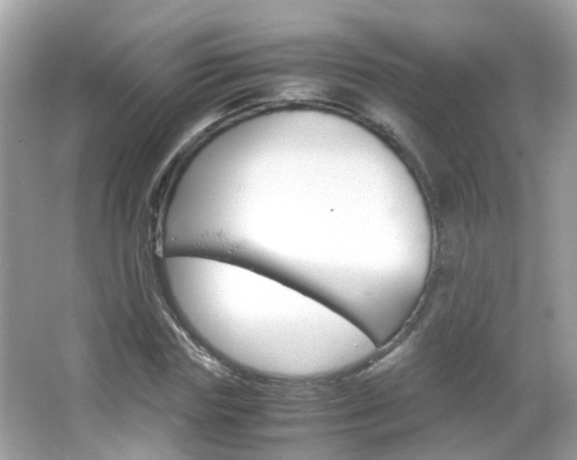 X0000066080827200603100935