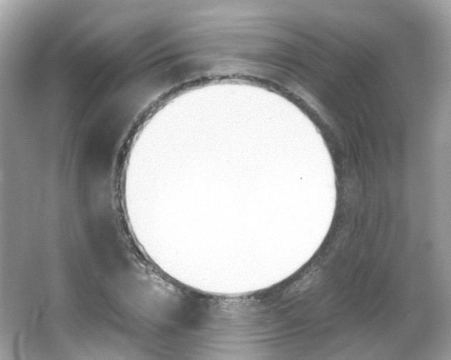 X0000066080832200603100935
